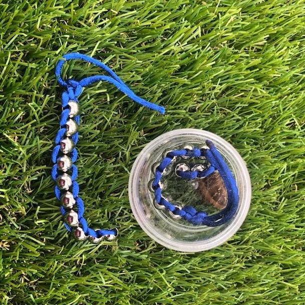 Kaiko_Caterpillar_hand_fidget_royal_blue